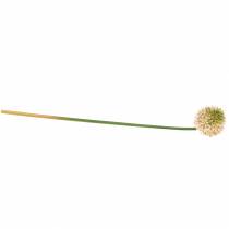 Article Allium ornemental artificiel rose / vert Ø8cm 58cm