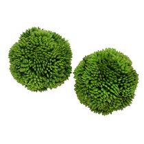 Boule d’allium 5 cm vert foncé 4 p.