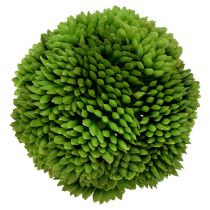 Boule d’allium 5 cm vert foncé 4 p.