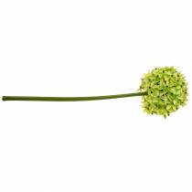 Article Oignon ornemental Allium, fleur en soie, boule artificielle vert poireau Ø20cm L72cm