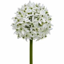 Fleur décorative Allium, boule artificielle poireau, oignon décoratif blanc Ø20cm L72cm