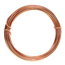 Article Fil d&#39;aluminium 2mm 100g 12m cuivre