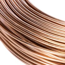 Article Fil d'aluminium 2 mm marron pour floristique et bricolage 60 m 500 g