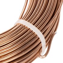 Article Fil d'aluminium 2 mm marron pour floristique et bricolage 60 m 500 g
