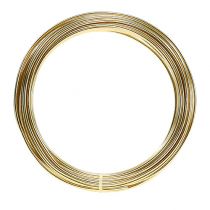 Article Fil d&#39;aluminium 2mm 100g doré