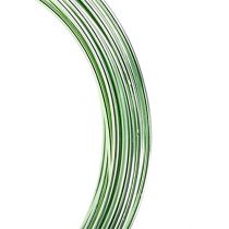 Article Fil d&#39;aluminium 2mm 100g vert menthe