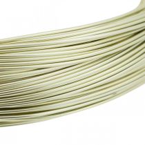 Article Fil aluminium Ø1mm fil bijoux champagne rond 120g