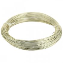 Article Fil aluminium Ø1mm fil bijoux champagne rond 120g