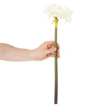 Article Amaryllis artificielle blanche avec tige, Avent et Noël, 50 cm