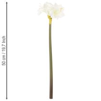 Article Amaryllis artificielle blanche avec tige, Avent et Noël, 50 cm