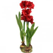 Amaryllis artificielle rouge 3 fleurs en soie sur boules de mousse H64cm