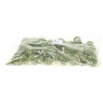 Article Cornets de gomme douce vert givré 250g