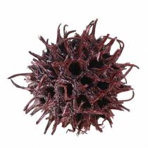 Article Cônes de liquidambar rouges givrés 250 g