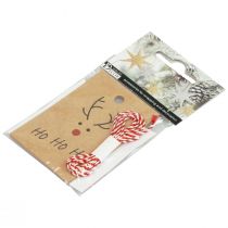 Article Pendentif de Noël à bricoler renne 5,5x8,5cm 4pcs