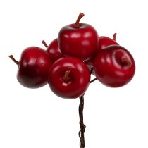 Pomme Ø3.5cm Rouge 36p