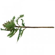 Article Artichaut Artichaut Vert Déco Automne Ø7.5cm H43cm