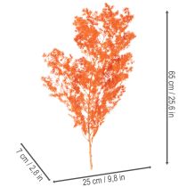 Article Asparagus décoratif séché teint orange 65 cm 80 g