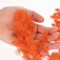 Article Asparagus décoratif séché teint orange 65 cm 80 g