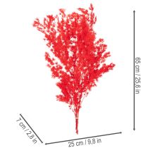 Article Asperge séchée rouge pour arrangements floraux 65 cm 80 g