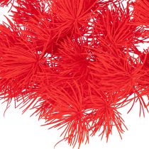 Article Asperge séchée rouge pour arrangements floraux 65 cm 80 g