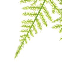 Article Asperge artificielle à suspendre, plante décorative facile d'entretien, 75 cm