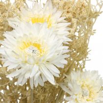 Article Bouquet artificiel d'asters et de gypsophile beige et blanc, idéal pour les décorations de mariage et les compositions automnales, 43 cm