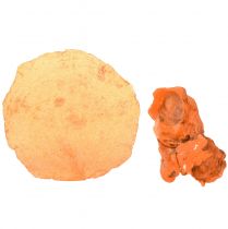 Article Moules huîtres tranches de capiz en filet orange 3,5–9,5cm 2pcs