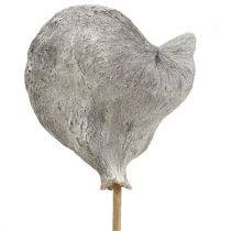 Article Badam sur bâtonnet Déco naturelle blanchie 12cm 23pcs