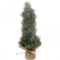 Article Mini sapin de Noël enneigé artificiellement dans un sac H41cm
