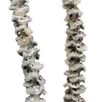 Article Tige de Banane Blanc lavé 20 pcs