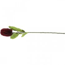 Article Fleur Artificielle Banksia Rouge Bordeaux Artificielle Exotiques 64cm