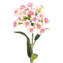 Article Oeillet barbu Oeillet artificiel Rose Pêche 52cm