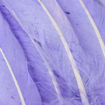 Article Plumes artisanales teintes en plumes d&#39;oie violettes 20g x 2pcs
