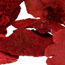 Article Éponge d&#39;arbre rouge 1kg
