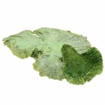Article Éponge d&#39;arbre vert blanchi à la chaux 1kg