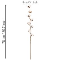 Article Branche de coton artificielle avec 8 vraies fleurs, 78 cm