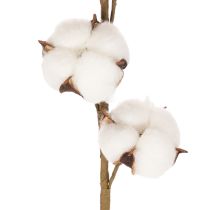 Article Branche de coton artificielle avec 8 vraies fleurs, 78 cm