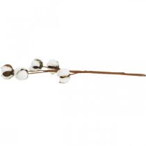 Article Décoration branche en coton Branche décorative en coton véritable 5 têtes 50cm