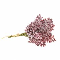 Article Pic à baie rouge, glacé 21cm 12p