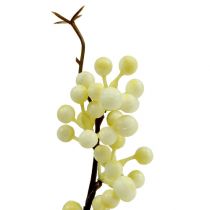 Branche de baies couleur crème L. 30 cm 12 p.