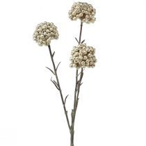 Article Branche décorative branche de baies artificielles champagne 46cm