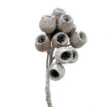 Article Branche de bellgum avec 5-7 fruits 3-4cm Blanchie 20 pcs