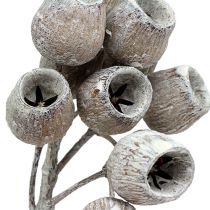 Article Branche de bellgum avec 5-7 fruits 3-4cm Blanchie 20 pcs