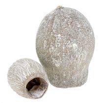 Bellgums blanc lavé 2cm - 5cm 500g