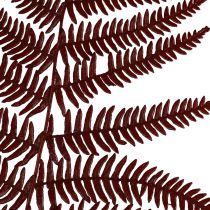 Fougère décorative fougère de montagne feuilles séchées vin rouge 50cm 20pcs