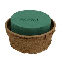 Article Mousse florale humide avec bol pour fleurs H10cm Ø16cm 2 pcs