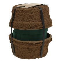 Article Mousse florale humide avec bol pour fleurs H10cm Ø16cm 2 pcs