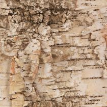 Article Bandes d&#39;écorce décoratives en écorce de bouleau blanc naturel 48×15cm 6 pièces