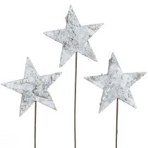 Article Étoiles de bouleau sur fil étoiles écorce de bouleau blanc 6cm 24 pcs