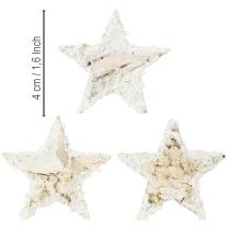 Article Étoiles de bouleau enneigées, 4 cm, naturelles, 60 pièces